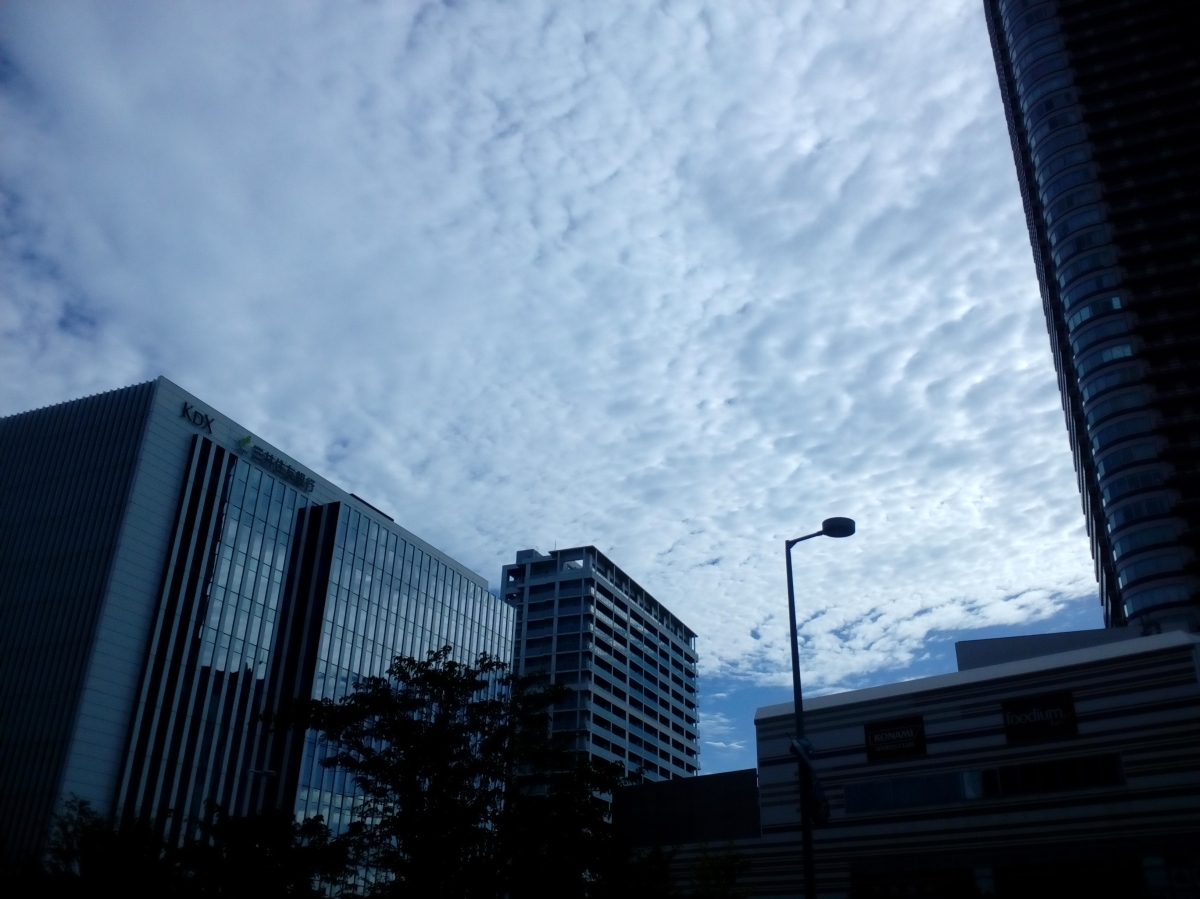 武蔵小杉：フリー写真素材