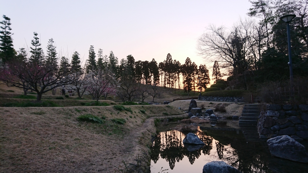 フリー写真素材:精華町(Sony:SO-03J)