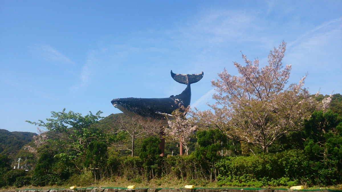 鯨のモニュメントフリー写真素材(太地町):SO-04E