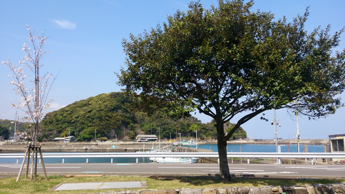 太地町のフリー写真素材:SO-04E