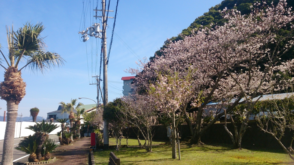 太地町のフリー写真素材:SO-04E