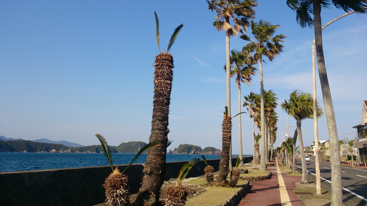 太地町のフリー写真素材:SO-04E