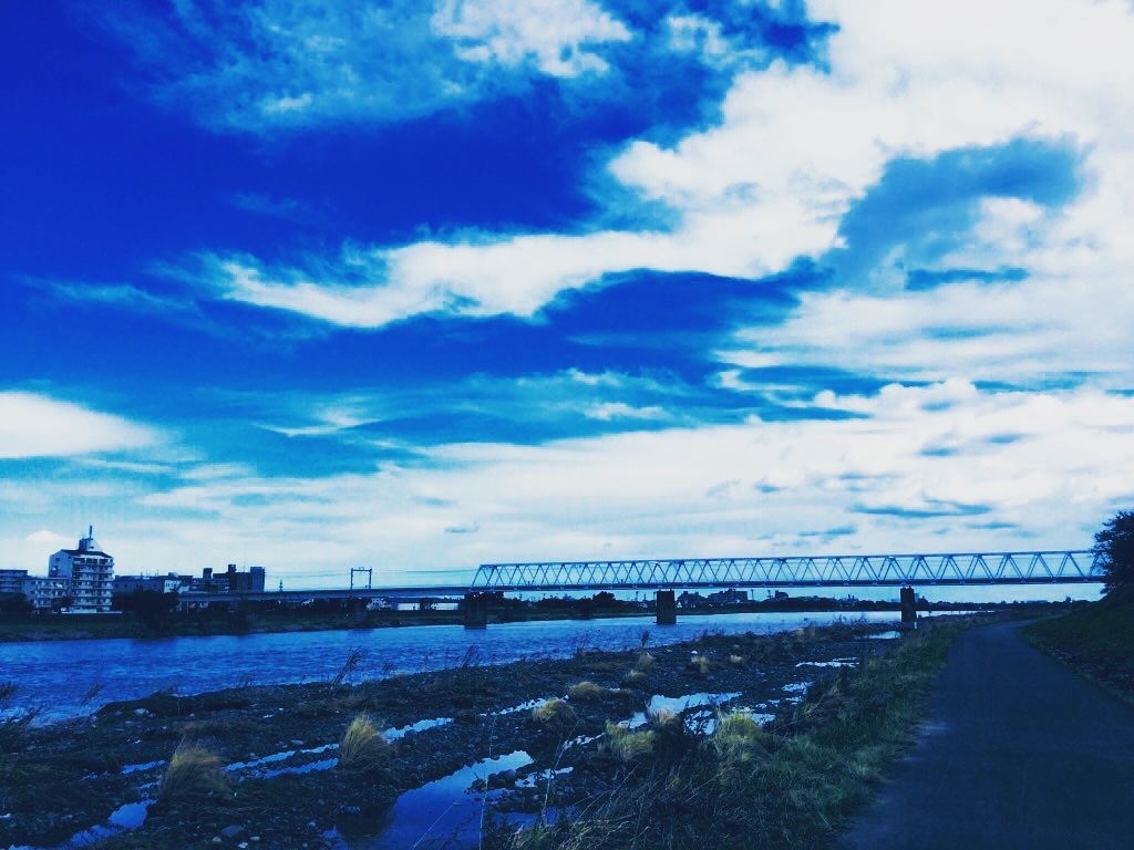 湿原化した登戸：多摩川
