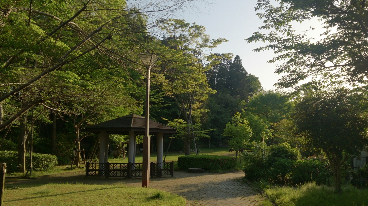 精華町のフリー写真素材(SO-04E)