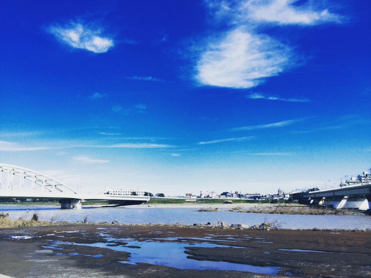 湿原化した登戸駅付近：多摩川