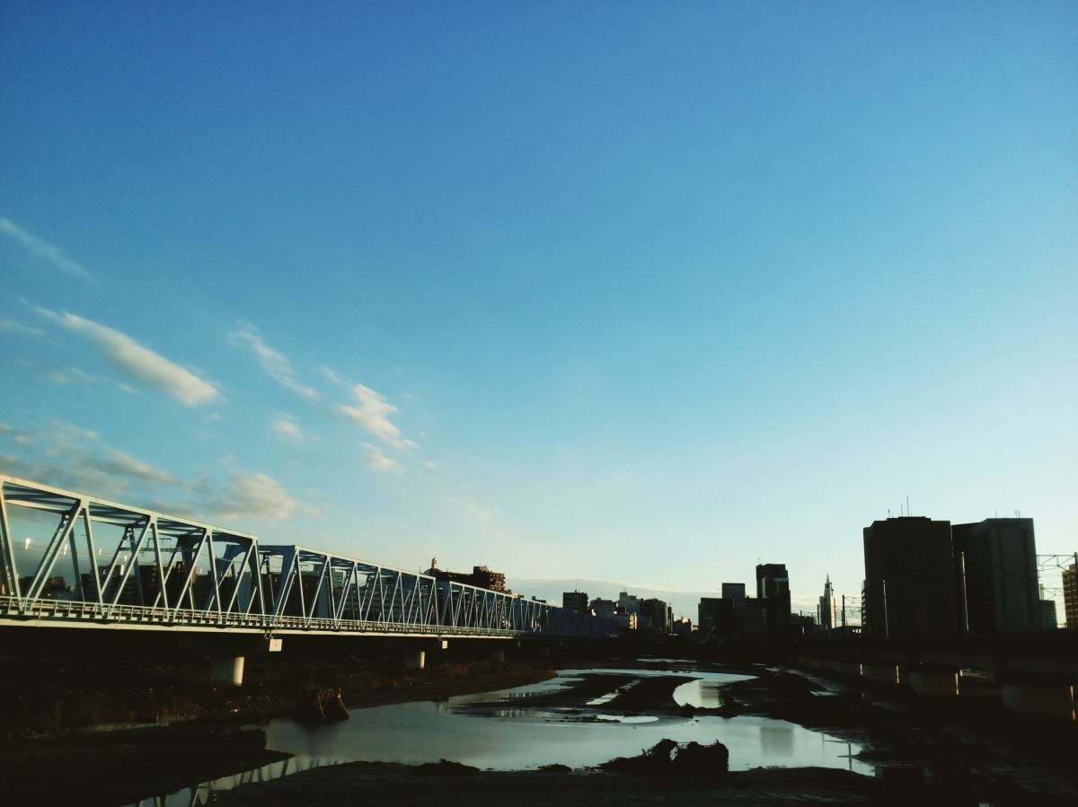 湿原化した多摩川：大田区から望む川崎