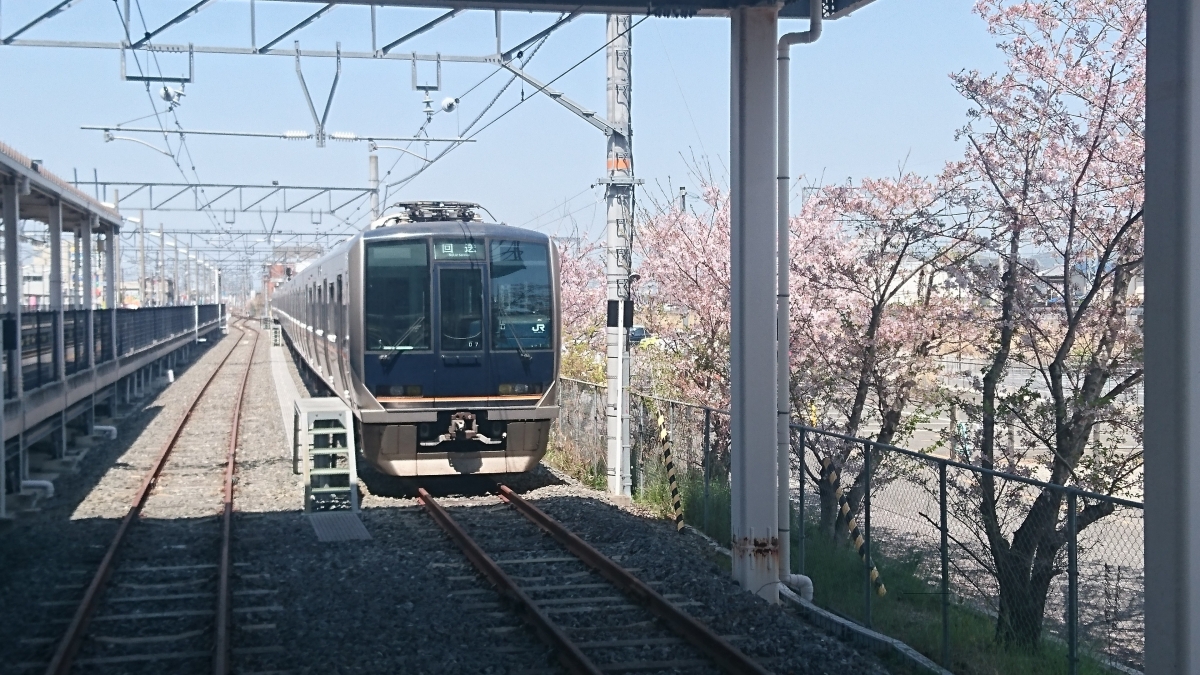 桜の時期の祝園駅:207系フリー写真素材(Xperia:SO02で撮影)