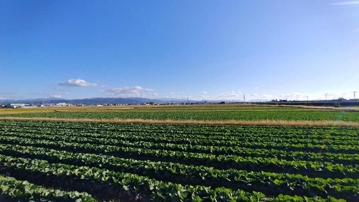 白山市のフリー写真素材(L02K-JOJOで撮影)