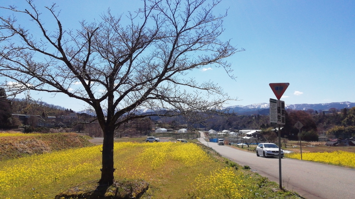 金沢市のフリー写真素材(d02kで撮影)