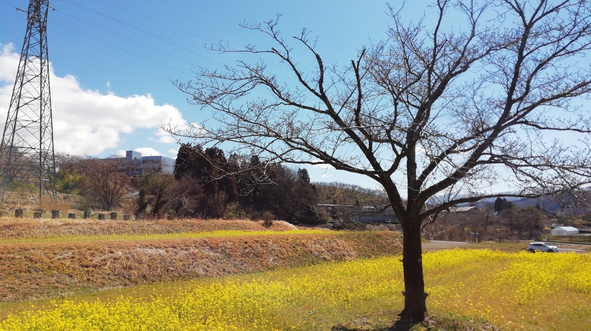 金沢市のフリー写真素材(d02kで撮影)