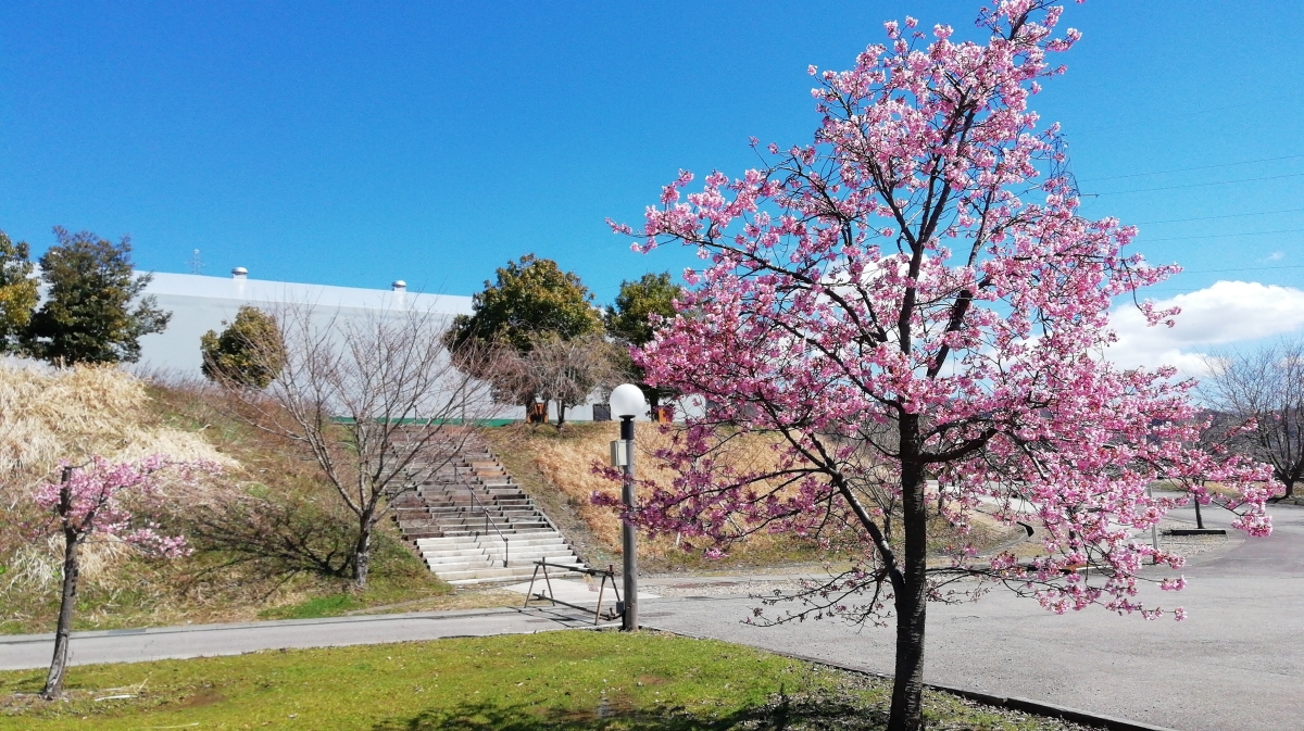 金沢市のフリー写真素材(d02kで撮影)
