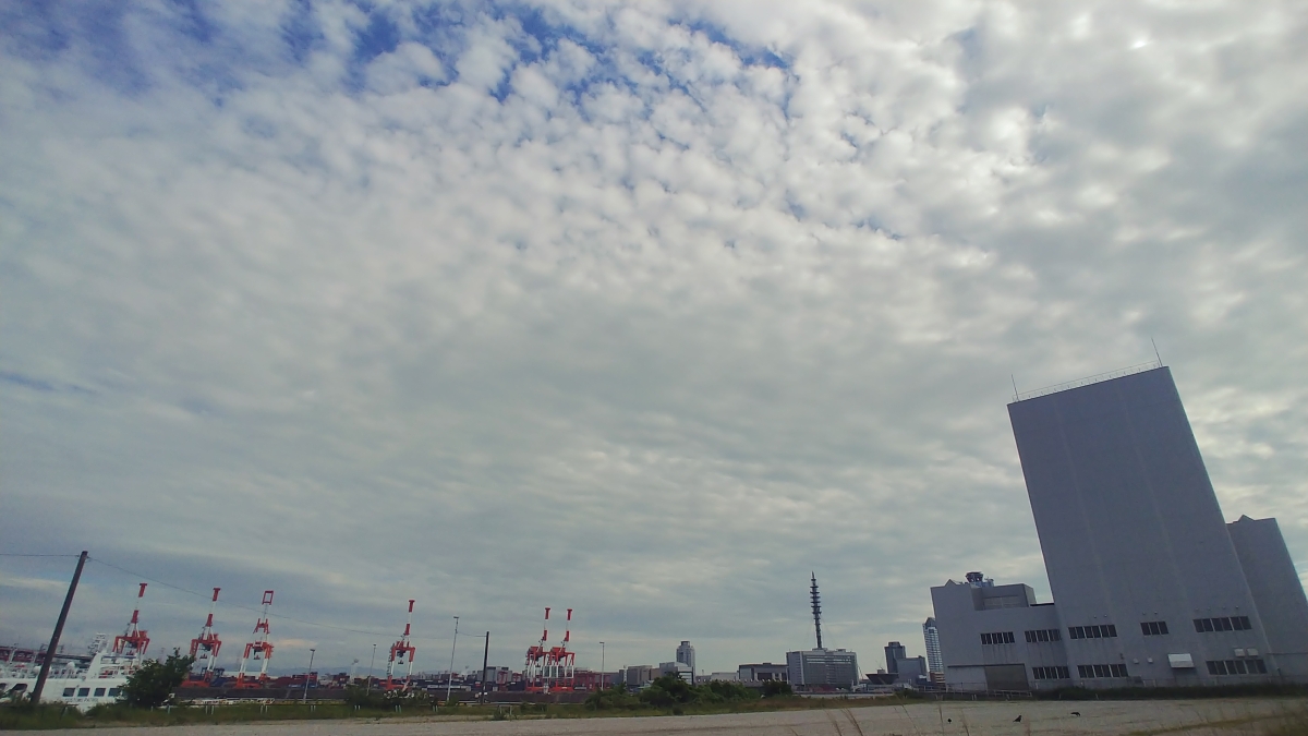 大阪港のﾌﾘｰ写真素材(L02K-JoJoで撮影)