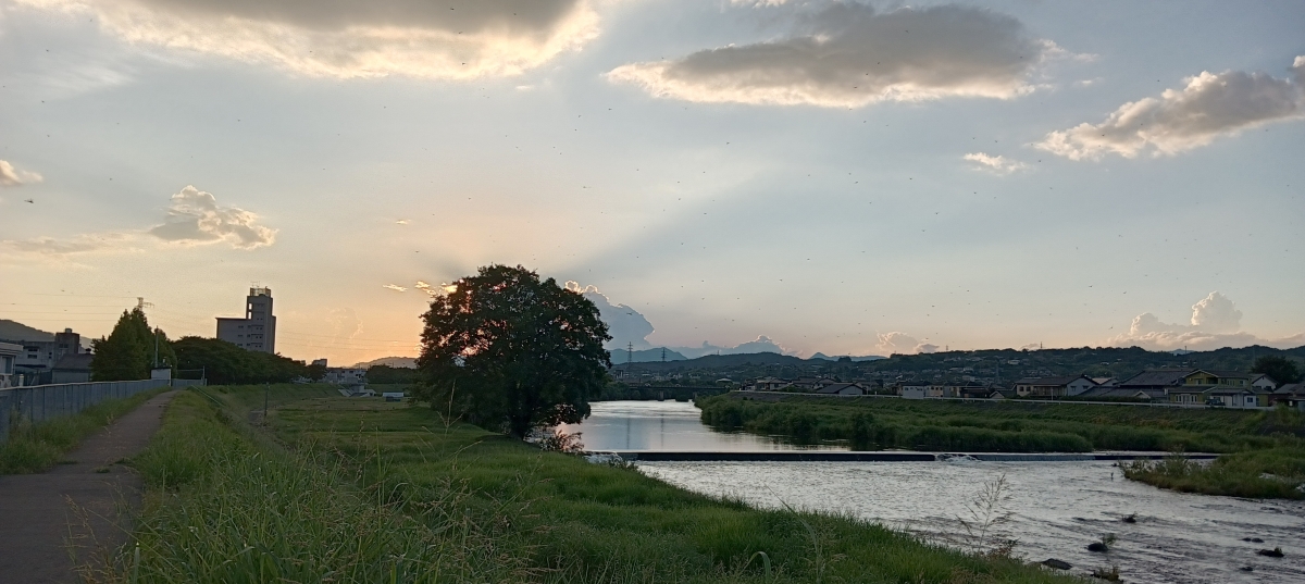 津山市のフリー写真素材(A302ZTで撮影)