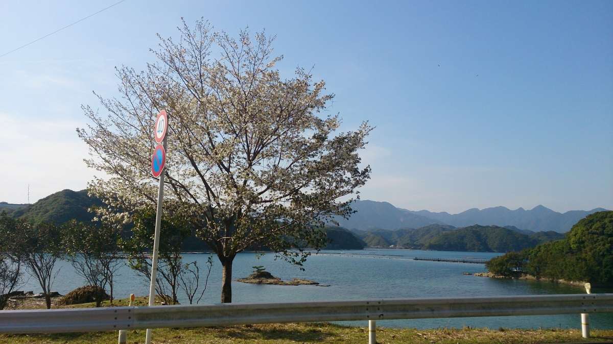 太地町